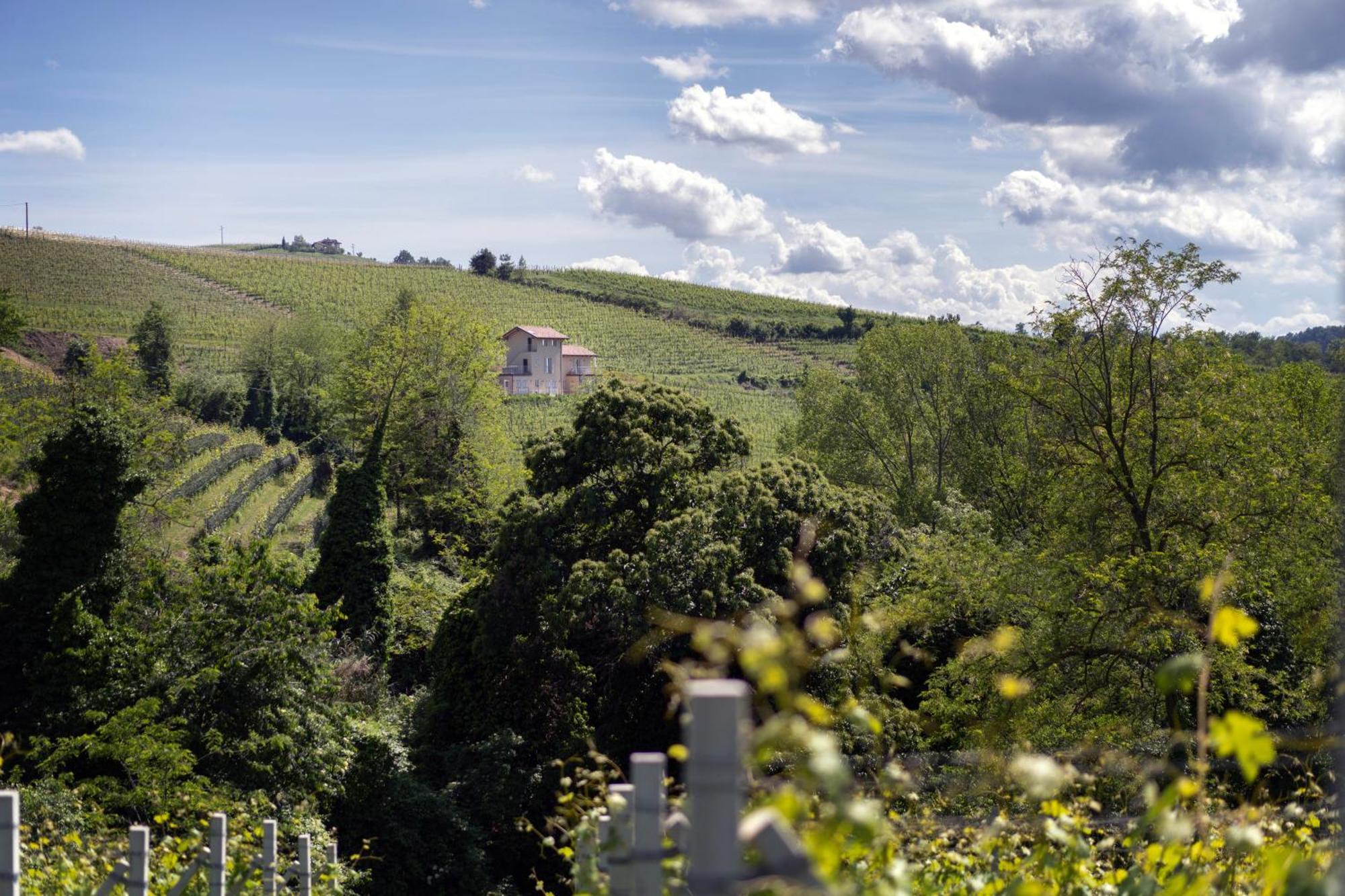 I Ciabot Di Monforte Monforte dʼAlba Exterior foto